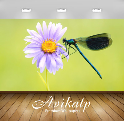 

Avikalp Nature Wallpaper(60.96 cm X 91.44 cm)