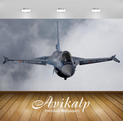 

Avikalp Nature Wallpaper(60.96 cm X 91.44 cm)