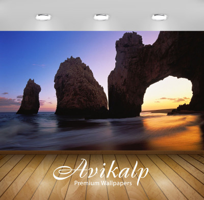 

Avikalp Nature Wallpaper(60.96 cm X 91.44 cm)