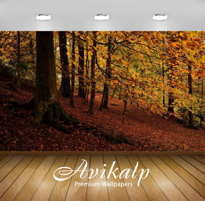 

Avikalp Nature Wallpaper(60.96 cm X 91.44 cm)