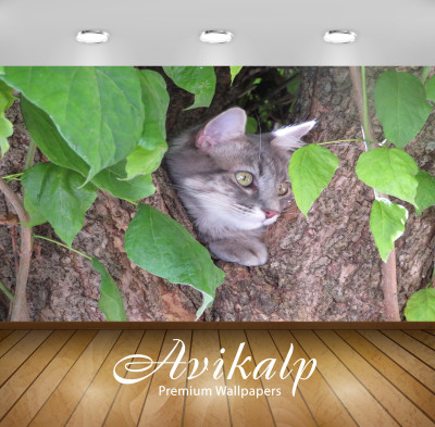

Avikalp Nature Wallpaper(60.96 cm X 91.44 cm)