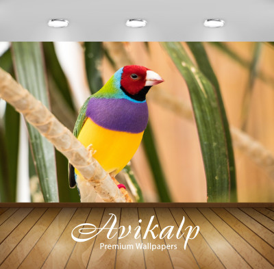 

Avikalp Nature Wallpaper(60.96 cm X 91.44 cm)