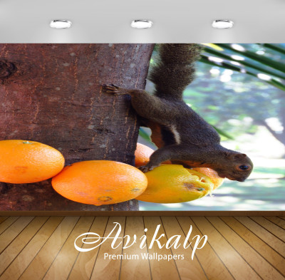 

Avikalp Nature Wallpaper(60.96 cm X 91.44 cm)