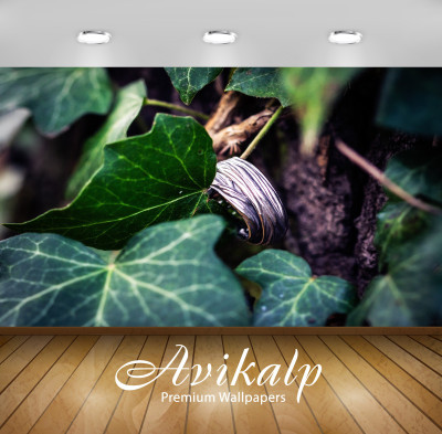 

Avikalp Nature Wallpaper(60.96 cm X 91.44 cm)