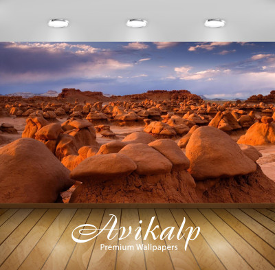 

Avikalp Nature Wallpaper(243.84 cm X 304.8 cm)
