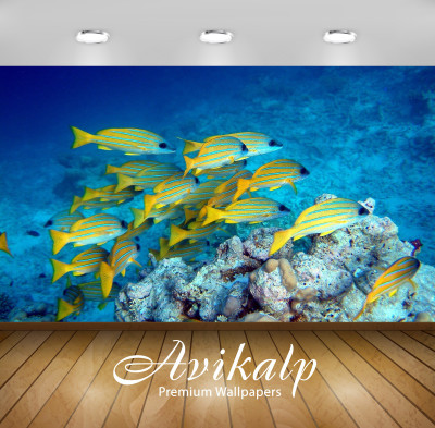 

Avikalp Nature Wallpaper(60.96 cm X 91.44 cm)