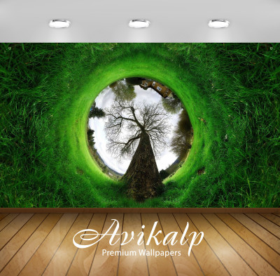

Avikalp Nature Wallpaper(60.96 cm X 91.44 cm)