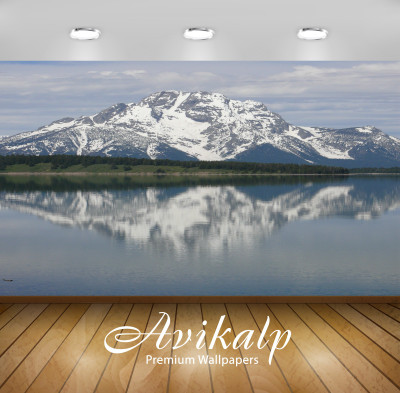 

Avikalp Nature Wallpaper(60.96 cm X 91.44 cm)