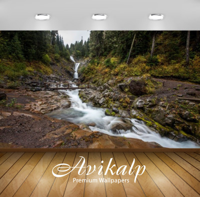

Avikalp Nature Wallpaper(60.96 cm X 91.44 cm)