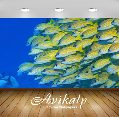

Avikalp Nature Wallpaper(60.96 cm X 91.44 cm)