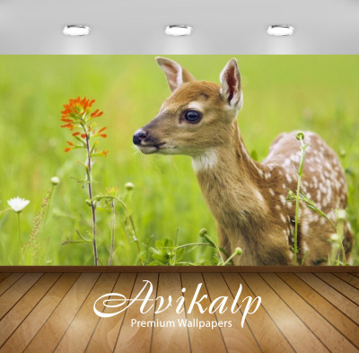 

Avikalp Nature Wallpaper(60.96 cm X 91.44 cm)