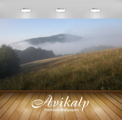

Avikalp Nature Wallpaper(60.96 cm X 91.44 cm)