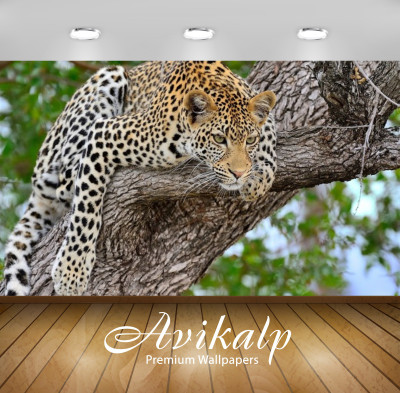 

Avikalp Nature Wallpaper(60.96 cm X 91.44 cm)