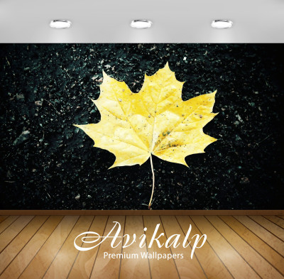 

Avikalp Nature Wallpaper(60.96 cm X 91.44 cm)