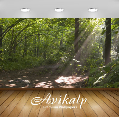

Avikalp Nature Wallpaper(60.96 cm X 91.44 cm)