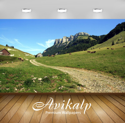 

Avikalp Nature Wallpaper(60.96 cm X 91.44 cm)