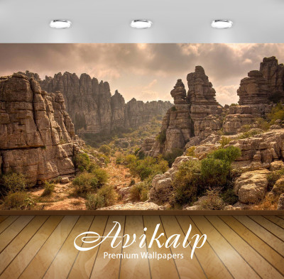 

Avikalp Nature Wallpaper(60.96 cm X 91.44 cm)