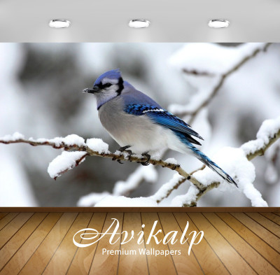 

Avikalp Nature Wallpaper(60.96 cm X 91.44 cm)