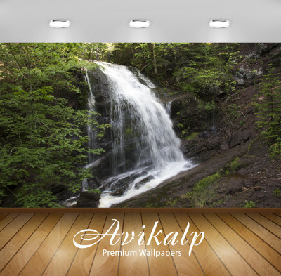 

Avikalp Nature Wallpaper(60.96 cm X 91.44 cm)