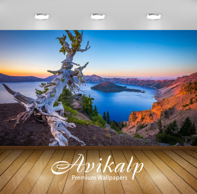 

Avikalp Nature Wallpaper(60.96 cm X 91.44 cm)
