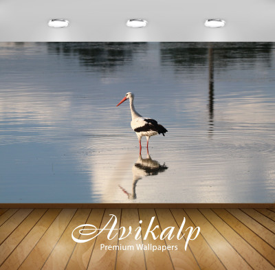 

Avikalp Nature Wallpaper(60.96 cm X 91.44 cm)