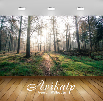 

Avikalp Nature Wallpaper(60.96 cm X 91.44 cm)