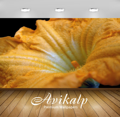 

Avikalp Nature Wallpaper(60.96 cm X 91.44 cm)