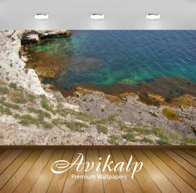 

Avikalp Nature Wallpaper(60.96 cm X 91.44 cm)