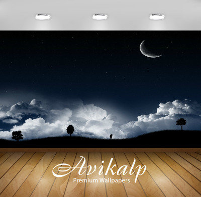 

Avikalp Nature Wallpaper(60.96 cm X 91.44 cm)