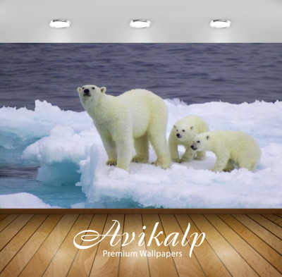 

Avikalp Nature Wallpaper(60.96 cm X 91.44 cm)