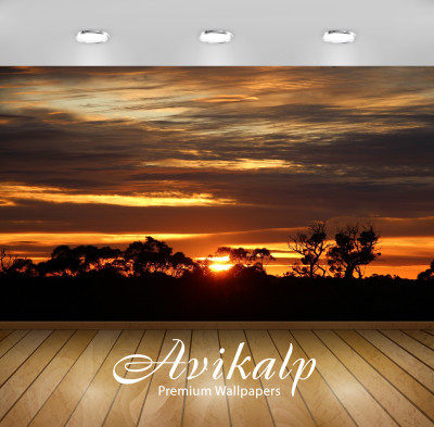 

Avikalp Nature Wallpaper(60.96 cm X 91.44 cm)