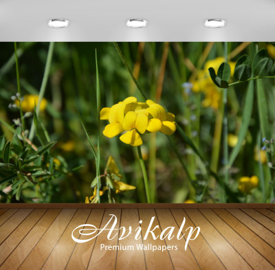 

Avikalp Nature Wallpaper(60.96 cm X 91.44 cm)