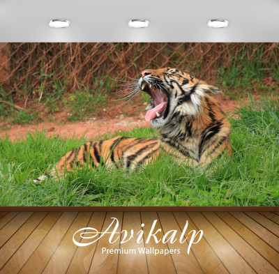 

Avikalp Nature Wallpaper(60.96 cm X 91.44 cm)
