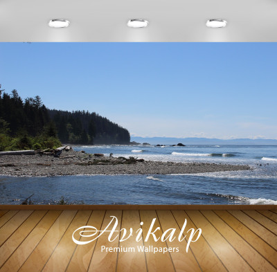 

Avikalp Nature Wallpaper(60.96 cm X 91.44 cm)