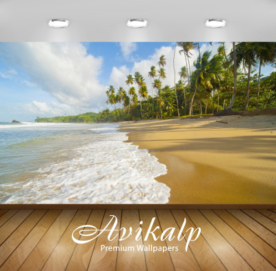 

Avikalp Nature Wallpaper(60.96 cm X 91.44 cm)