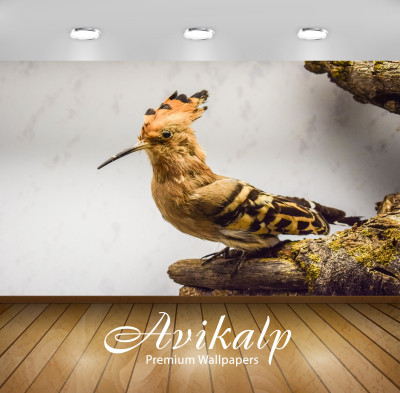 

Avikalp Nature Wallpaper(60.96 cm X 91.44 cm)