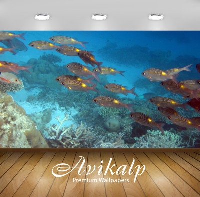 

Avikalp Nature Wallpaper(60.96 cm X 91.44 cm)