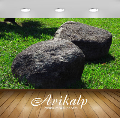 

Avikalp Nature Wallpaper(60.96 cm X 91.44 cm)