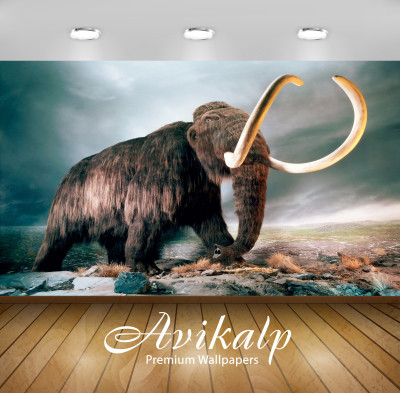 

Avikalp Nature Wallpaper(243.84 cm X 304.8 cm)