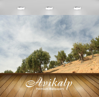 

Avikalp Nature Wallpaper(60.96 cm X 91.44 cm)