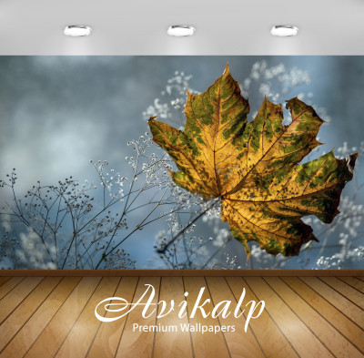

Avikalp Nature Wallpaper(60.96 cm X 91.44 cm)