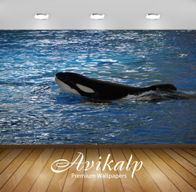 

Avikalp Nature Wallpaper(60.96 cm X 91.44 cm)