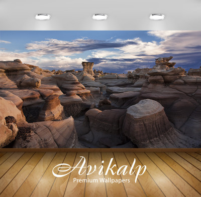

Avikalp Nature Wallpaper(60.96 cm X 91.44 cm)