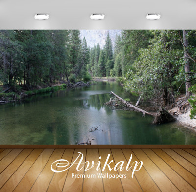 

Avikalp Nature Wallpaper(60.96 cm X 91.44 cm)