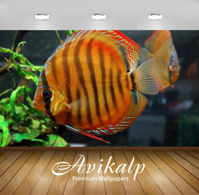 

Avikalp Nature Wallpaper(60.96 cm X 91.44 cm)