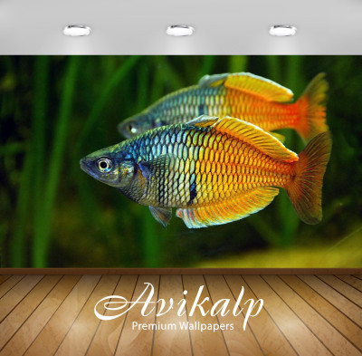 

Avikalp Nature Wallpaper(60.96 cm X 91.44 cm)