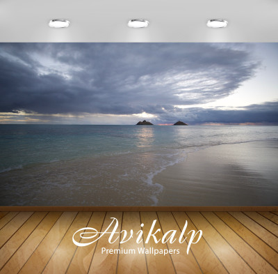 

Avikalp Nature Wallpaper(60.96 cm X 91.44 cm)