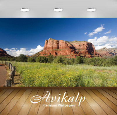 

Avikalp Nature Wallpaper(60.96 cm X 91.44 cm)