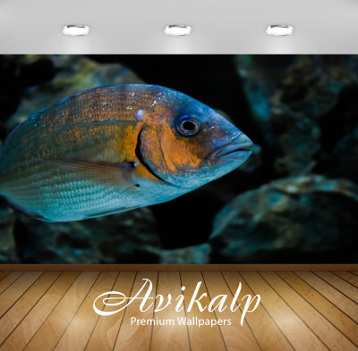 

Avikalp Abstract Wallpaper(60.96 cm X 91.44 cm)