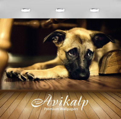 

Avikalp Nature Wallpaper(60.96 cm X 91.44 cm)